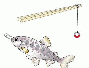 настольная игра рыбалка